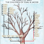 21-118 GENESIS tree RGB